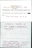 ANIMALS - Vintage Photograph