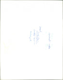 ANIMALS : C - Vintage Photograph