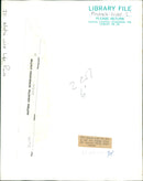 Animals :The Female Wild Cat - Vintage Photograph