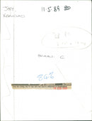 Animals : The Chimpanzee - Vintage Photograph