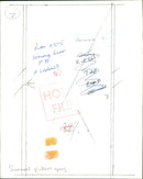 Animals : The Cheetah - Vintage Photograph