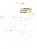 Animals : Cheetah - Vintage Photograph