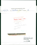 Animals - Vintage Photograph