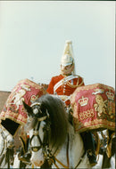 Animals - Vintage Photograph