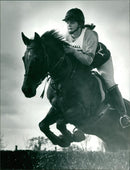 Animals - Vintage Photograph