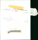 Animals - Vintage Photograph