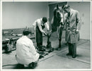 Animals - Vintage Photograph