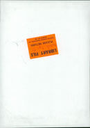 Animals : Dogs Breeds - Vintage Photograph