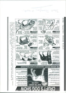 Animals : Dogs Breeds - Vintage Photograph