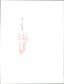 Animals : Dogs Breeds - Vintage Photograph