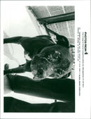 Animals : Dogs Breeds - Vintage Photograph