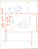 Animals : Dogs Breeds - Vintage Photograph