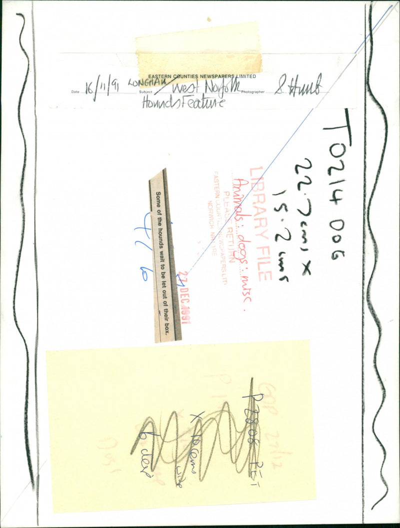 ANIMALS : DOGS: BREEDS M - R - Vintage Photograph