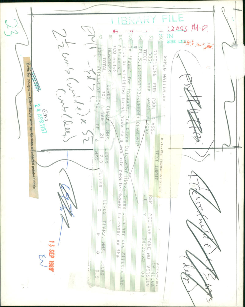 ANIMALS : DOGS: BREEDS M - R - Vintage Photograph