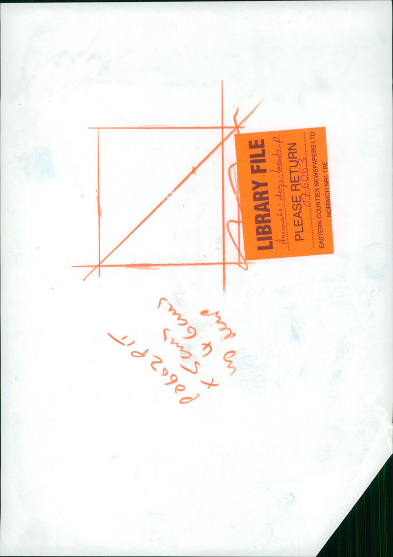 ANIMALS : DOGS: BREEDS M - R - Vintage Photograph