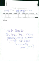 ANIMALS : DOGS: BREEDS M - R - Vintage Photograph