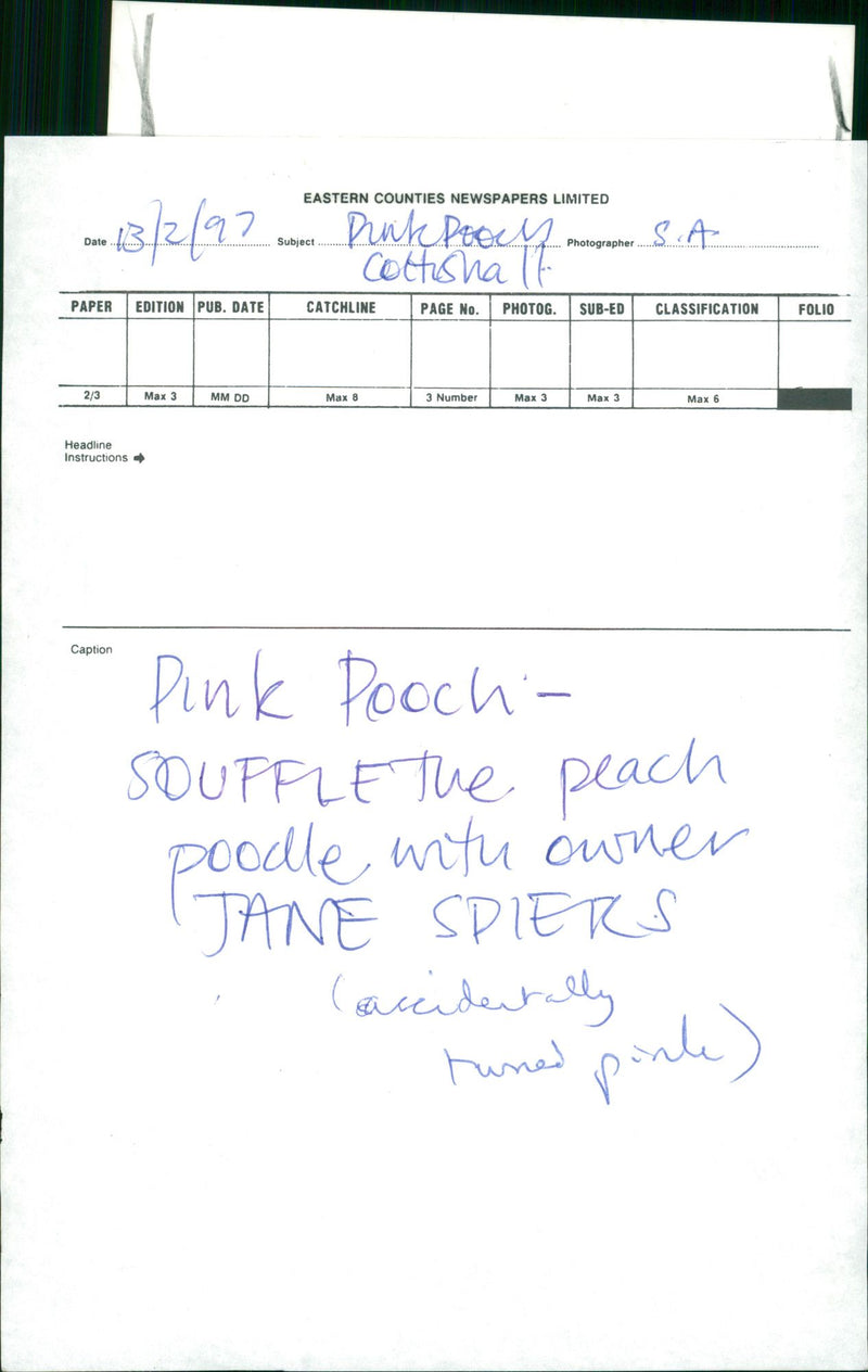 ANIMALS : DOGS: BREEDS M - R - Vintage Photograph