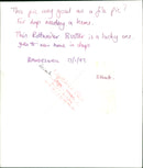 ANIMALS : DOGS: BREEDS M - R - Vintage Photograph