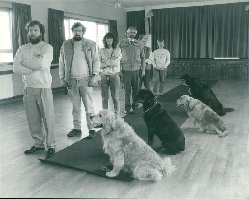 ANIMALS : DOGS: BREEDS M - R - Vintage Photograph