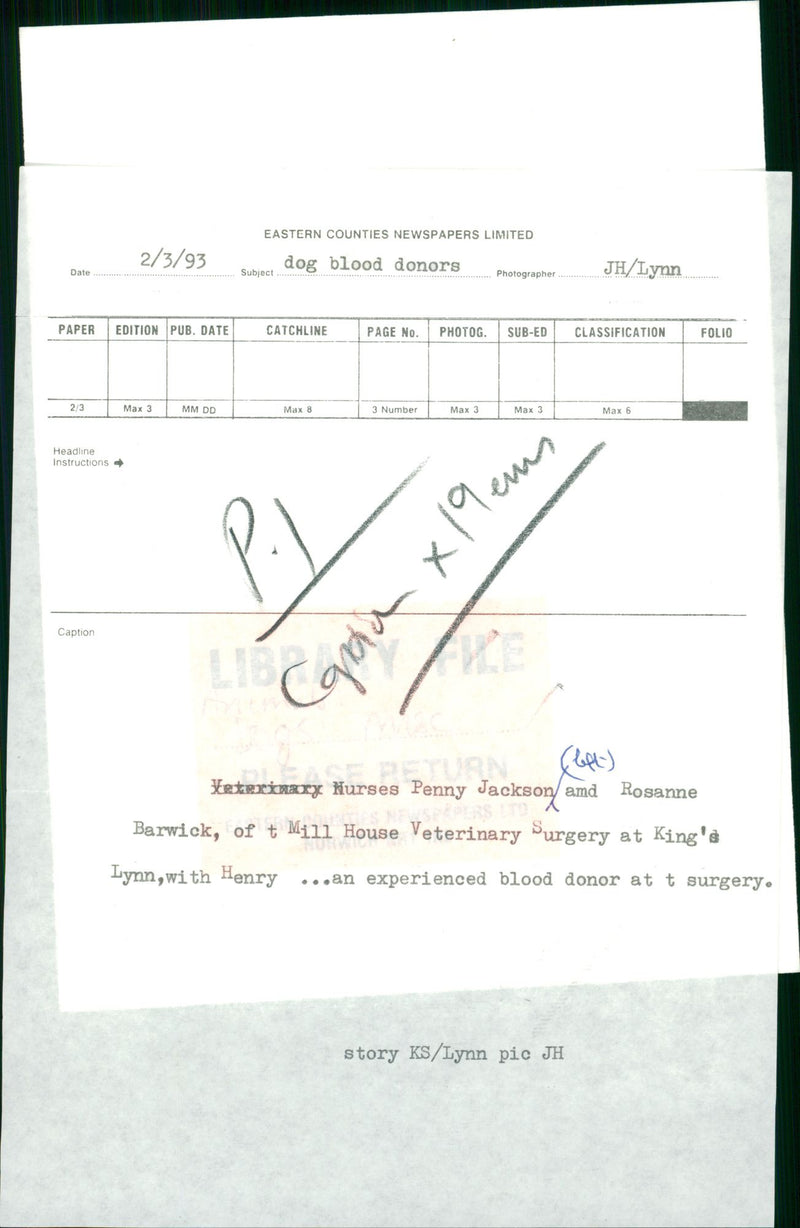 ANIMALS : DOGS: BREEDS M - R - Vintage Photograph