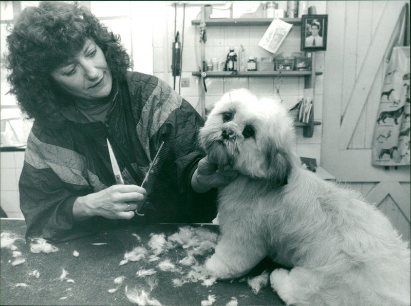 ANIMALS : DOGS: BREEDS M - R - Vintage Photograph