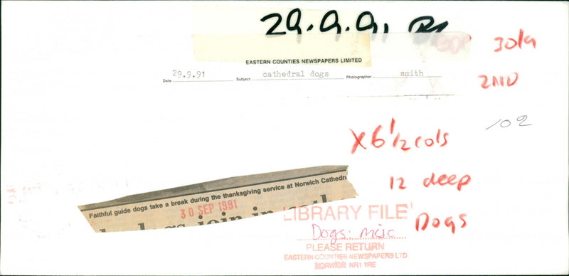 ANIMALS : DOGS: BREEDS M - R - Vintage Photograph