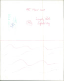 Langley Park Daffodil Day - Vintage Photograph