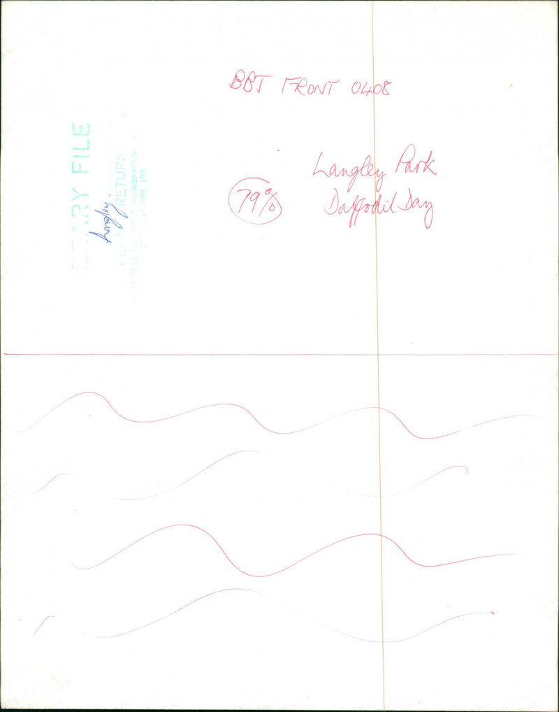 Langley Park Daffodil Day - Vintage Photograph