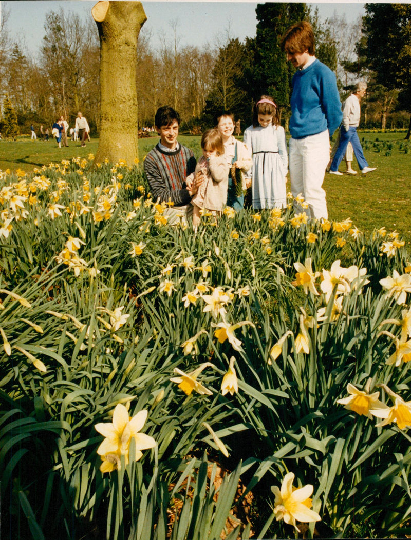 Langley Park Daffodil Day - Vintage Photograph