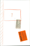 Animals : Dogs Breeds - Vintage Photograph