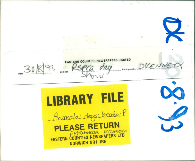 Animals : Dogs Breeds - Vintage Photograph