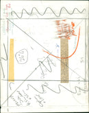 Animals : Dogs Breeds - Vintage Photograph