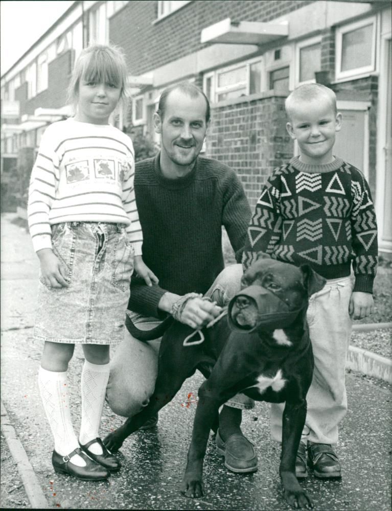Animals : Dogs Breeds - Vintage Photograph