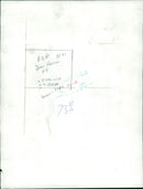 Animals : Dogs Breeds - Vintage Photograph