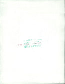 Animals : Dogs Breeds - Vintage Photograph