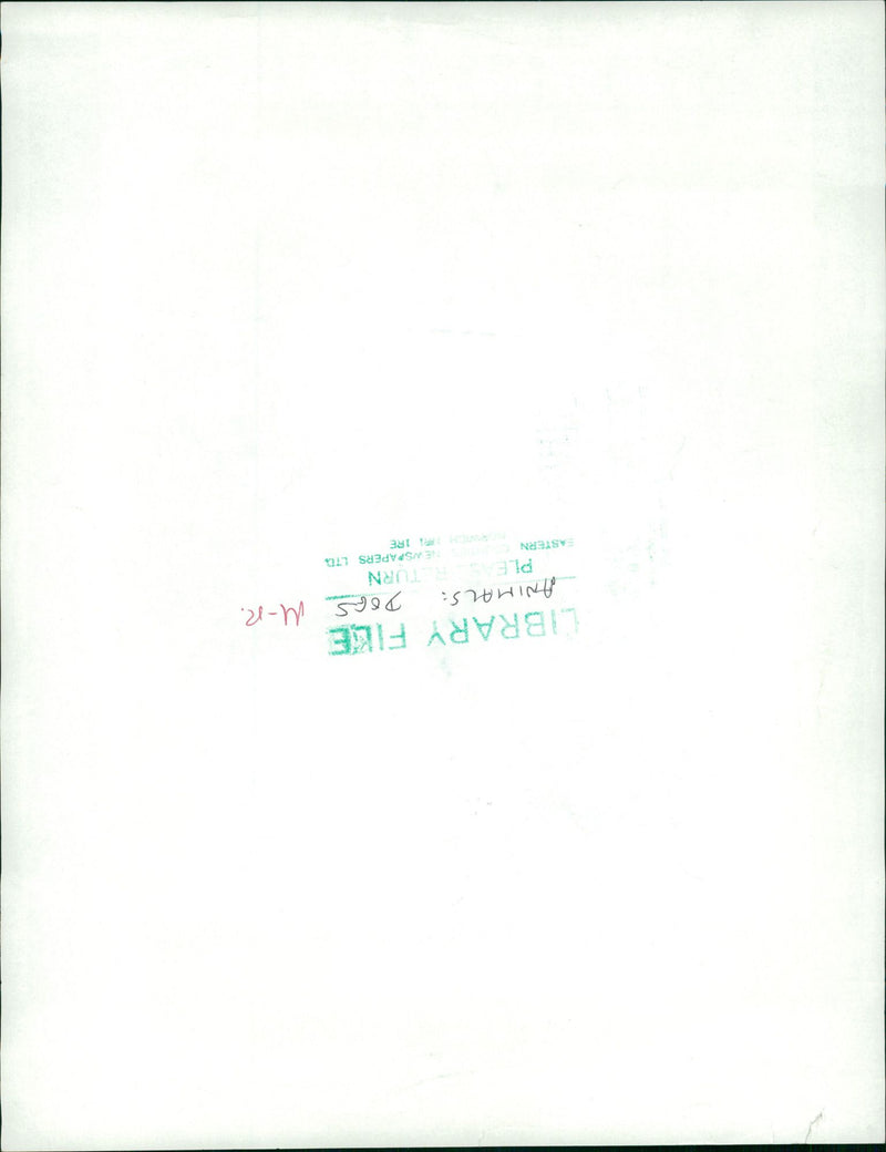 Animals : Dogs Breeds - Vintage Photograph