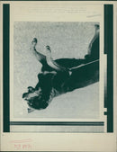 Animals : Dogs Breeds - Vintage Photograph