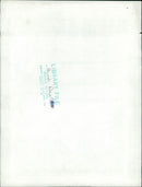 Animals : Dogs Breeds - Vintage Photograph