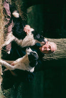 Animals : Dogs Breeds - Vintage Photograph