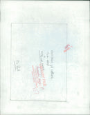 Animals : Dogs Breeds - Vintage Photograph