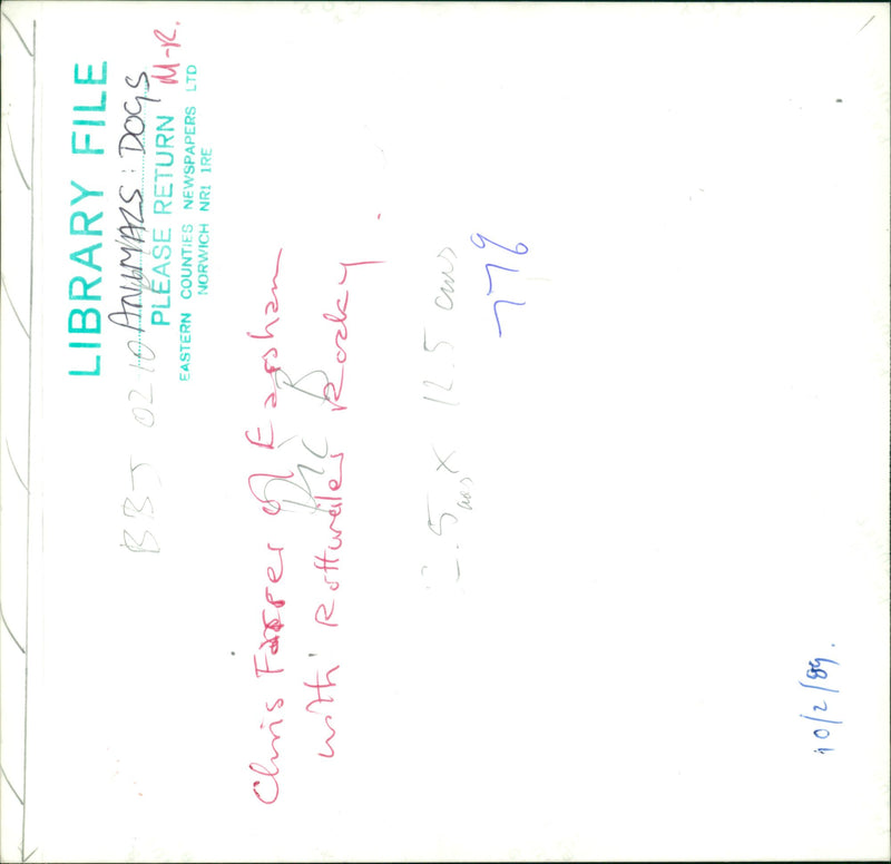 Animals : Dogs Breeds - Vintage Photograph