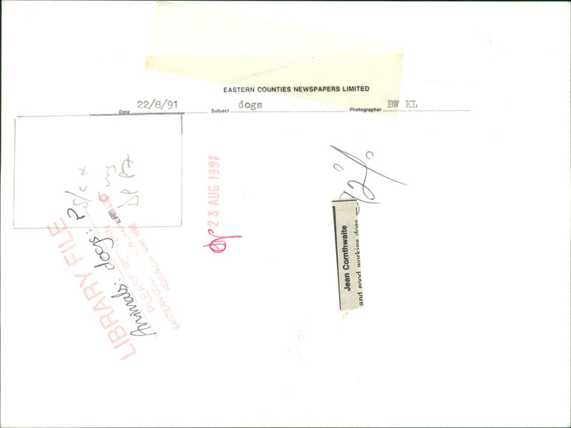 Animals : Dogs Breeds - Vintage Photograph