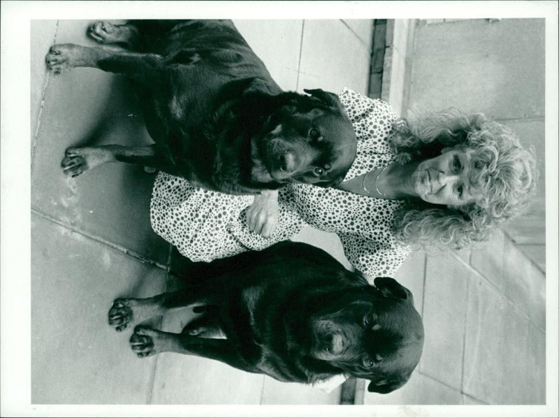 Animals : Dogs Breeds - Vintage Photograph