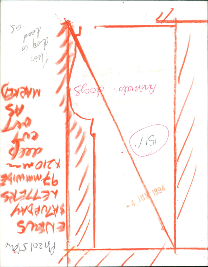 Animals : Dogs Breeds - Vintage Photograph