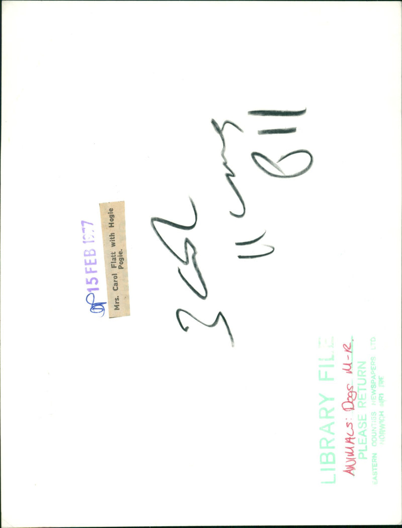 ANIMALS : DOGS: BREEDS M - R - Vintage Photograph