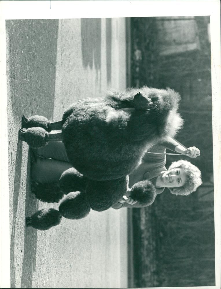 ANIMALS : DOGS: BREEDS M - R - Vintage Photograph