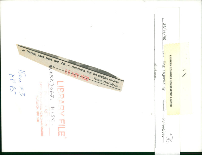 ANIMALS : DOGS: BREEDS M - R - Vintage Photograph