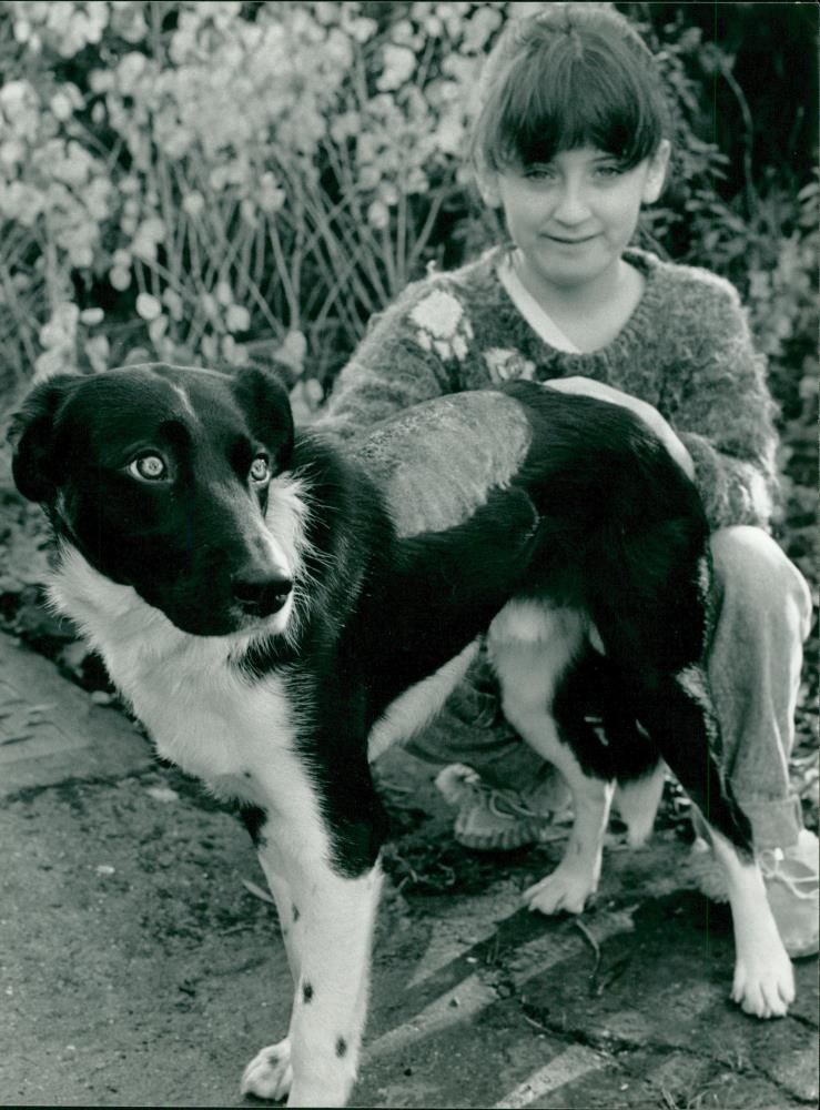 ANIMALS : DOGS: BREEDS M - R - Vintage Photograph