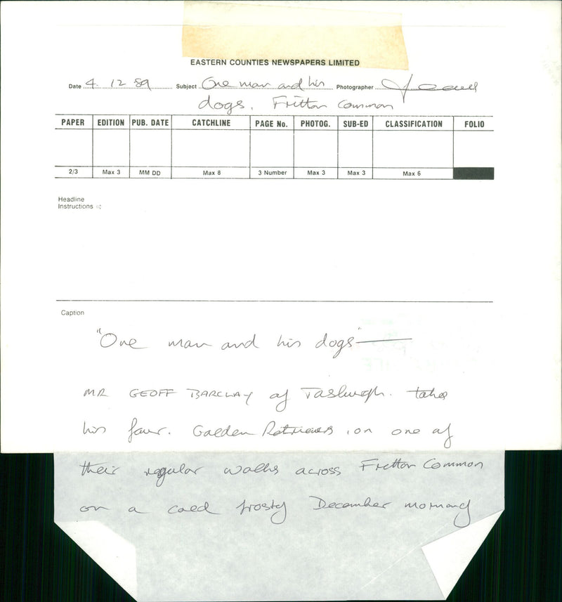 ANIMALS : DOGS: BREEDS M - R - Vintage Photograph