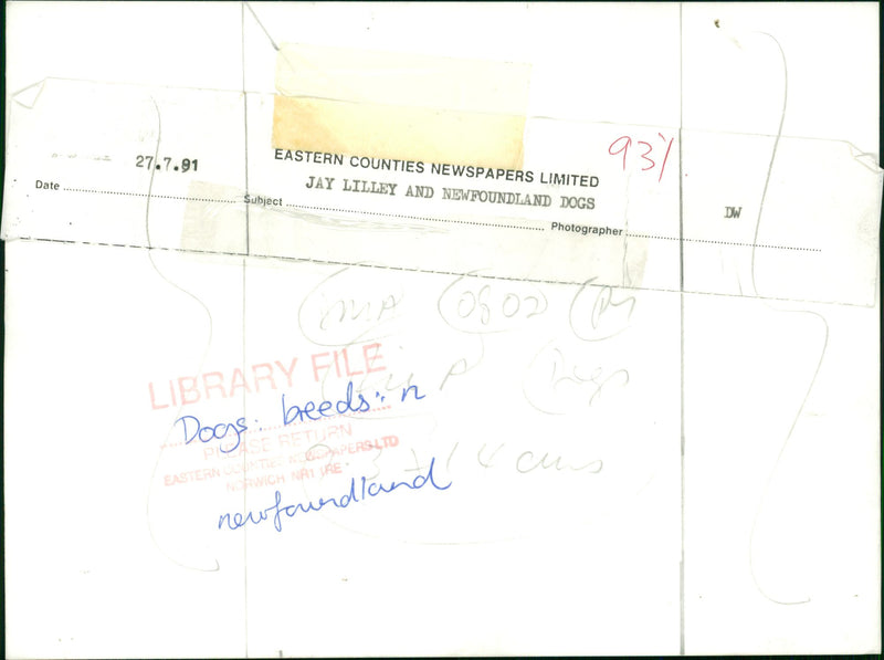 ANIMALS : DOGS: BREEDS M - R - Vintage Photograph